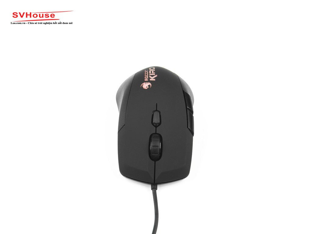 mouse10